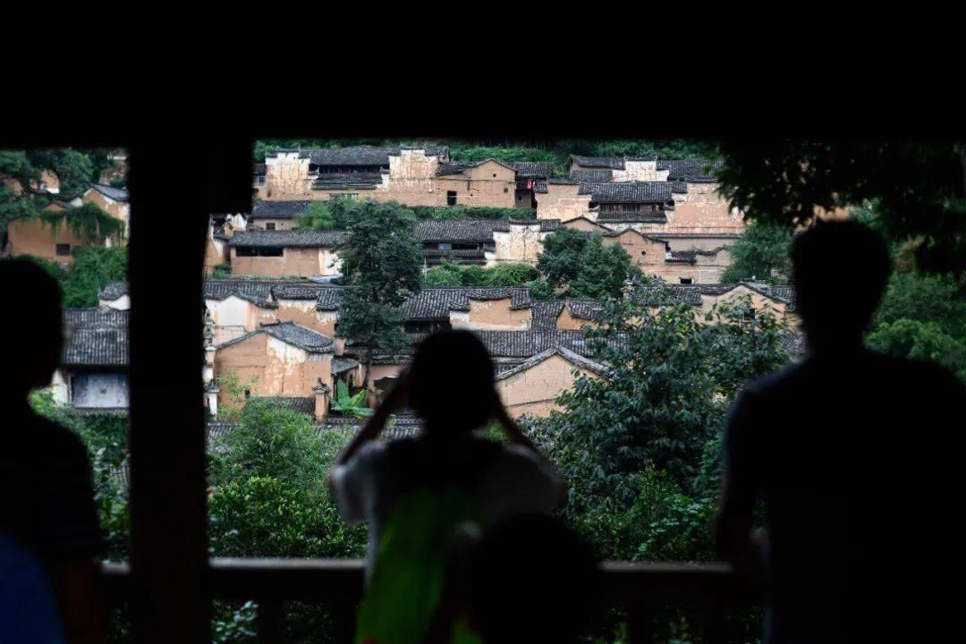 冷知识分享平台-{{关键词}}专注知识乐趣